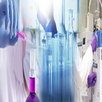 Instituto de Biologia Molecular y Biotecnología
